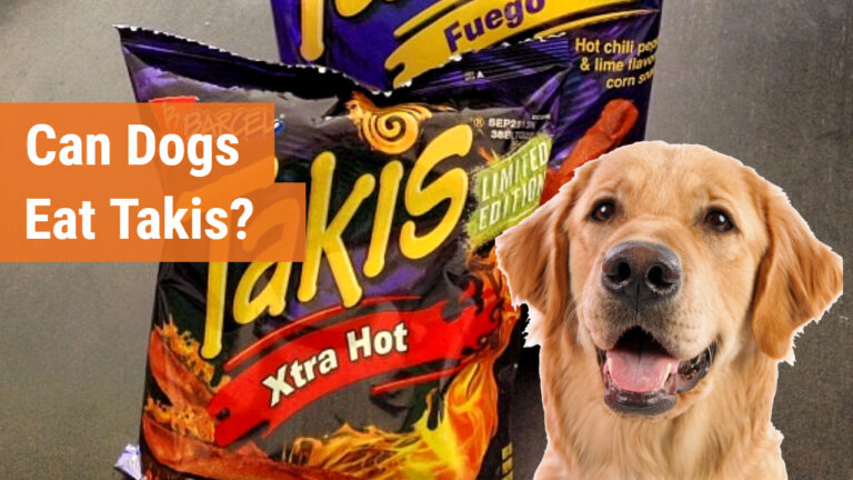 Can Dogs Eat Takis? (Is it Dangerous?) - HuffPets