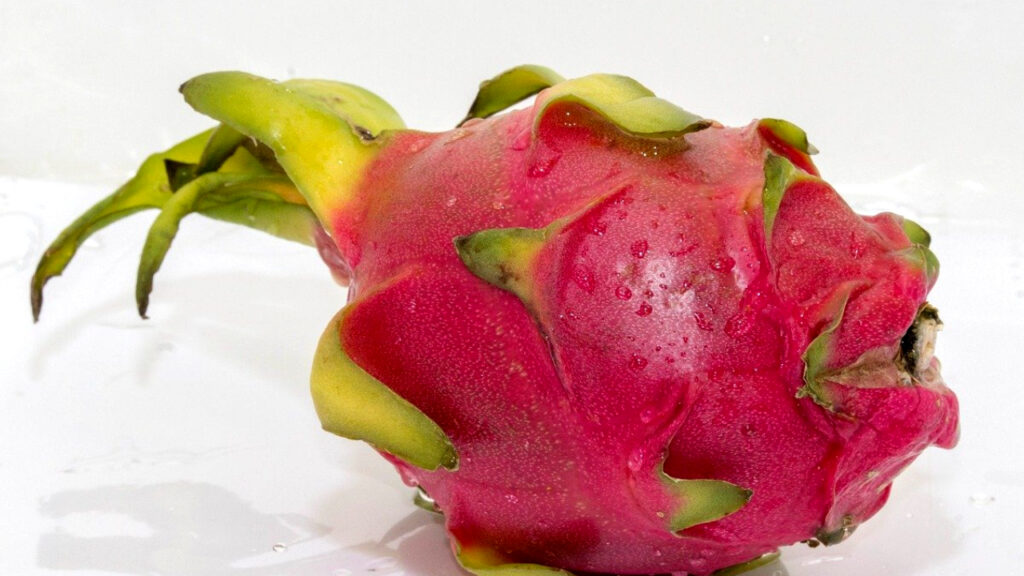 Can Dogs Have Dragon Fruit Skin