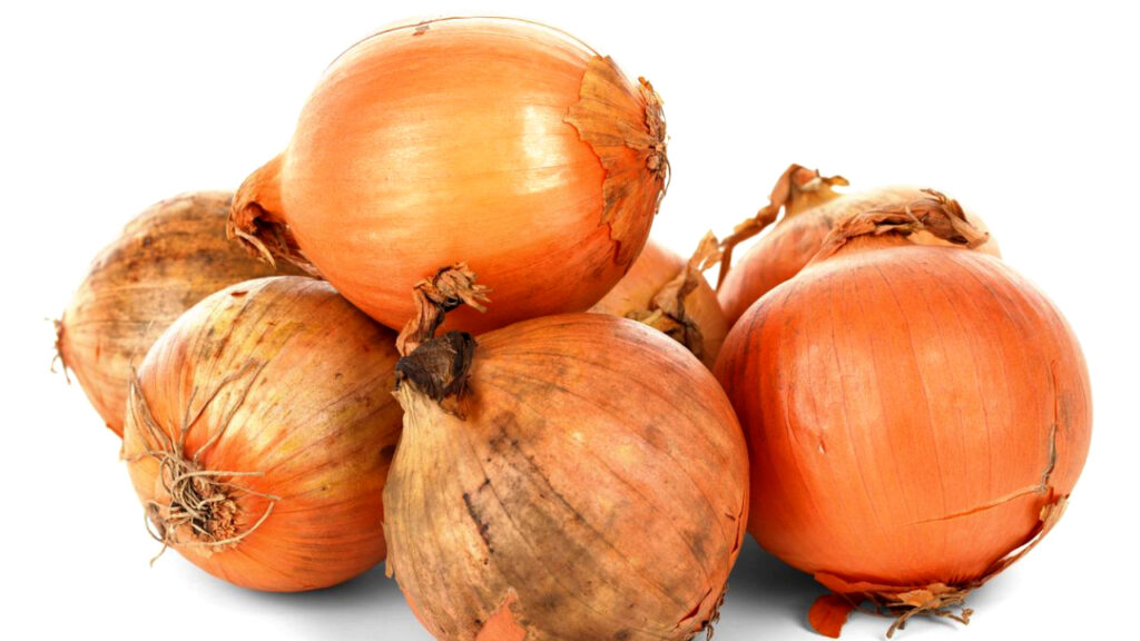 Is Onion Safe For Guinea Pigs