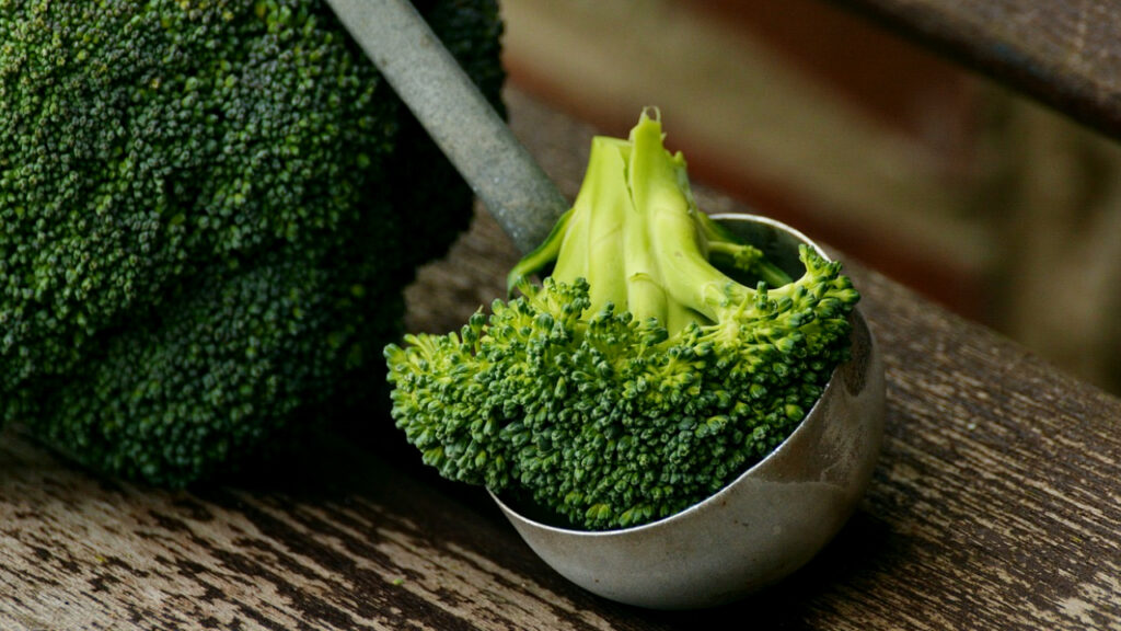 Health Benefits Of Broccoli For Gerbils