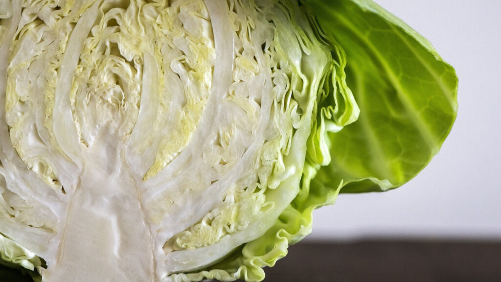Is Cabbage Healthy for Rats