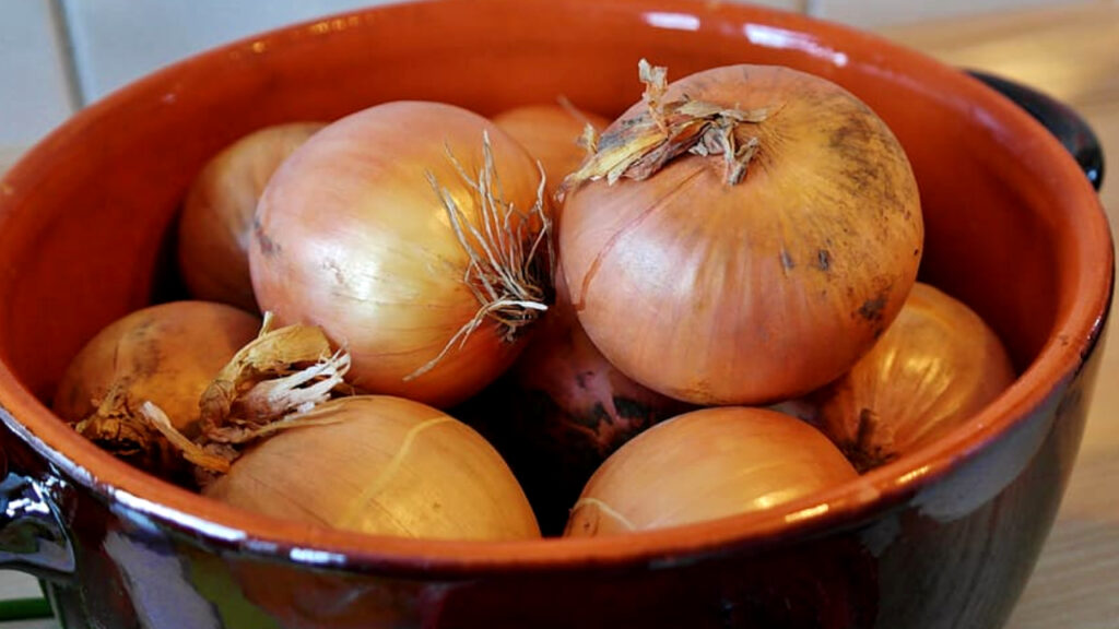 Are Cooked Onions Safe for Pet Rats