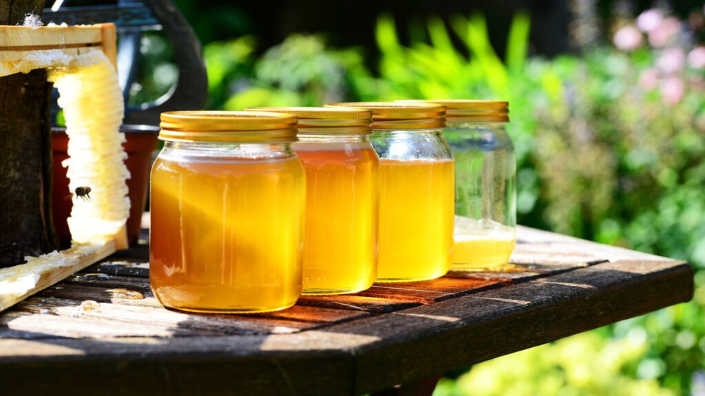Is Raw Honey Safe for Pet Rats